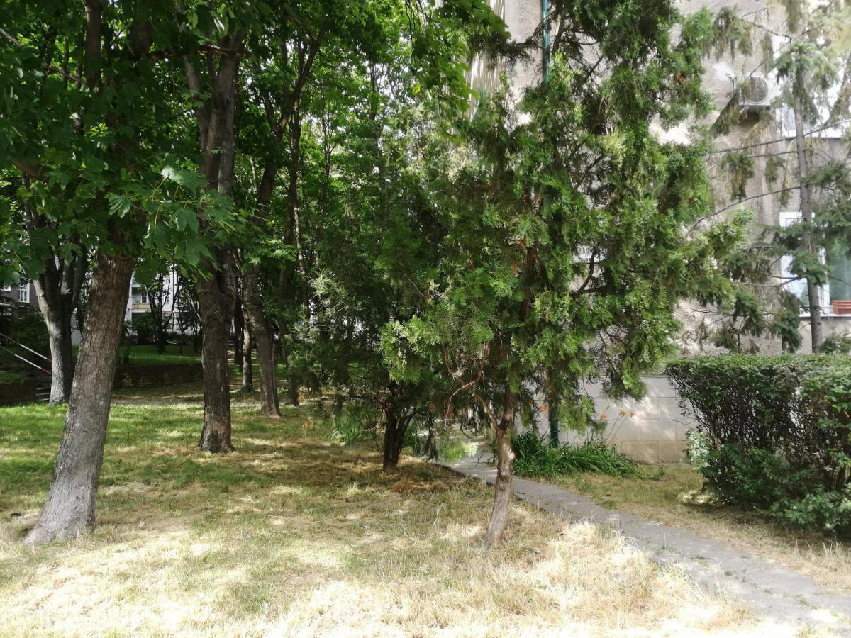 2Br Apt With Free Garage Parking, Close To The Historic Centre 布拉迪斯拉发 外观 照片